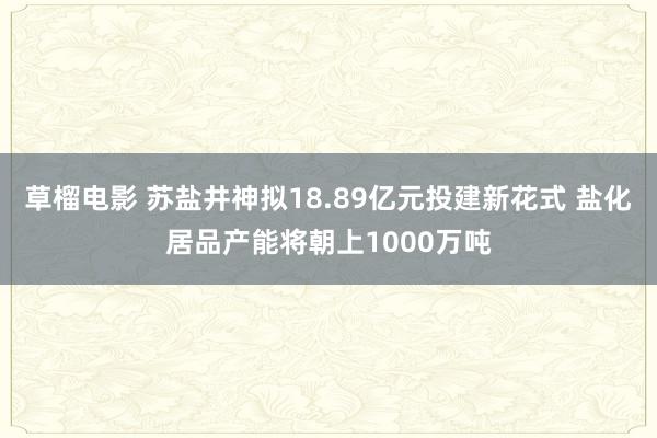 草榴电影 苏盐井神拟18.89亿元投建新花式 盐化居品产能将朝上1000万吨