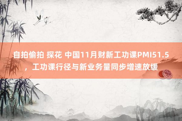 自拍偷拍 探花 中国11月财新工功课PMI51.5，工功课行径与新业务量同步增速放缓