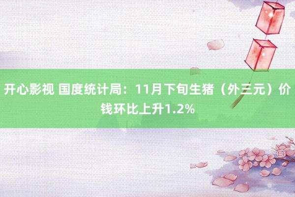 开心影视 国度统计局：11月下旬生猪（外三元）价钱环比上升1.2%