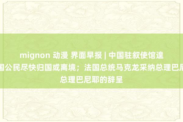 mignon 动漫 界面早报 | 中国驻叙使馆遑急指示中国公民尽快归国或离境；法国总统马克龙采纳总理巴尼耶的辞呈