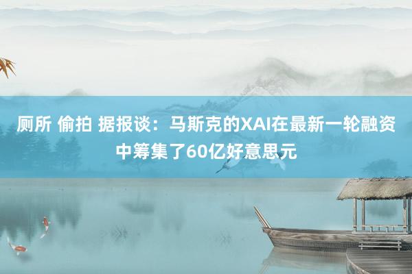 厕所 偷拍 据报谈：马斯克的XAI在最新一轮融资中筹集了60亿好意思元