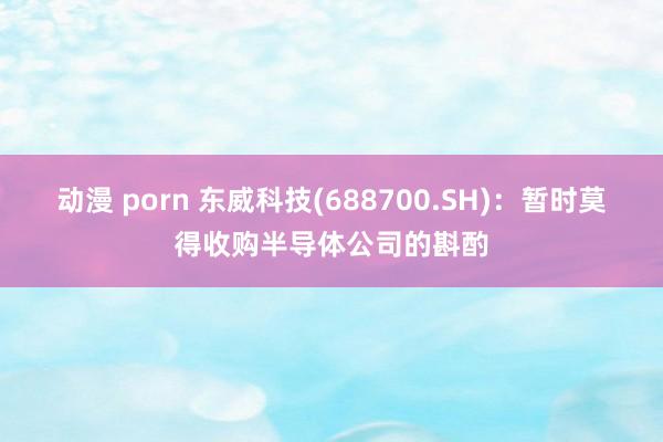 动漫 porn 东威科技(688700.SH)：暂时莫得收购半导体公司的斟酌