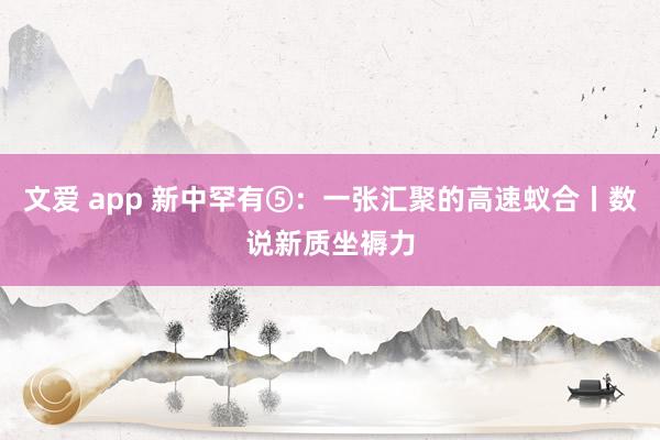 文爱 app 新中罕有⑤：一张汇聚的高速蚁合丨数说新质坐褥力