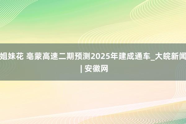 姐妹花 亳蒙高速二期预测2025年建成通车_大皖新闻 | 安徽网