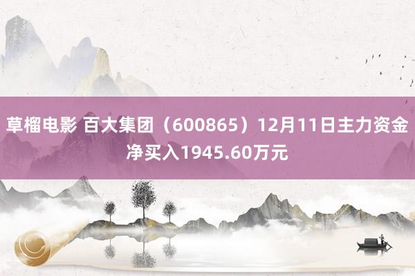 草榴电影 百大集团（600865）12月11日主力资金净买入1945.60万元