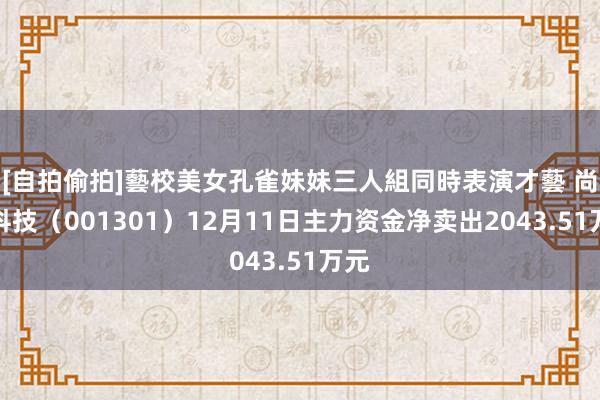 [自拍偷拍]藝校美女孔雀妹妹三人組同時表演才藝 尚太科技（001301）12月11日主力资金净卖出2043.51万元