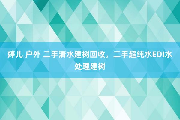 婷儿 户外 二手清水建树回收，二手超纯水EDI水处理建树