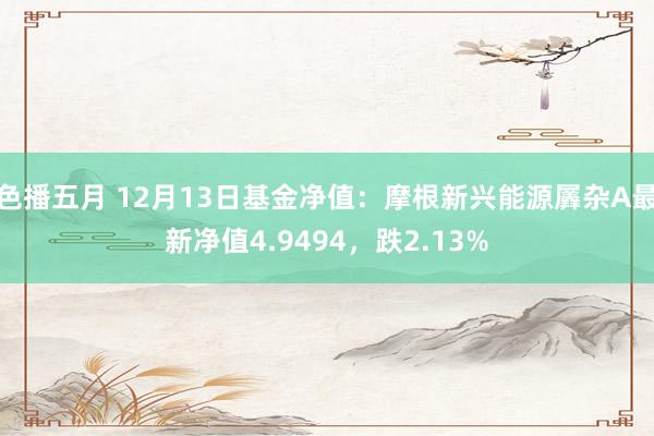 色播五月 12月13日基金净值：摩根新兴能源羼杂A最新净值4.9494，跌2.13%