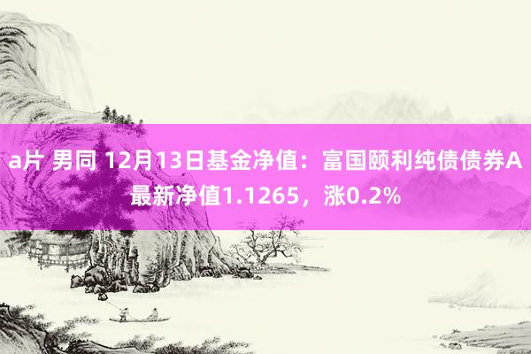 a片 男同 12月13日基金净值：富国颐利纯债债券A最新净值1.1265，涨0.2%