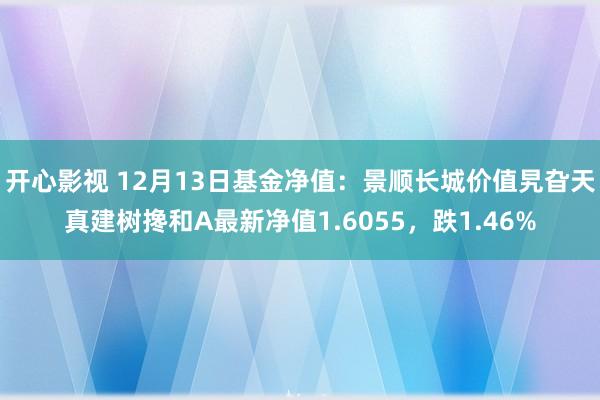 开心影视 12月13日基金净值：景顺长城价值旯旮天真建树搀和A最新净值1.6055，跌1.46%