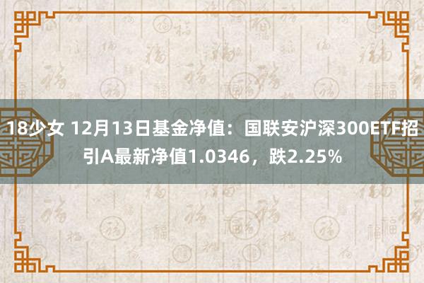 18少女 12月13日基金净值：国联安沪深300ETF招引A最新净值1.0346，跌2.25%