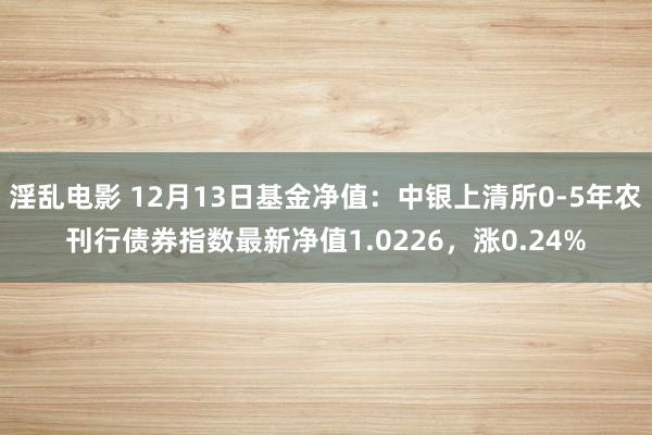 淫乱电影 12月13日基金净值：中银上清所0-5年农刊行债券指数最新净值1.0226，涨0.24%