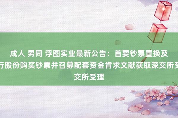 成人 男同 浮图实业最新公告：首要钞票置换及刊行股份购买钞票并召募配套资金肯求文献获取深交所受理