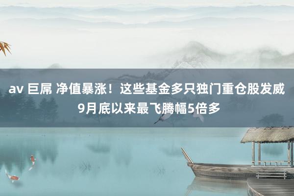 av 巨屌 净值暴涨！这些基金多只独门重仓股发威 9月底以来最飞腾幅5倍多