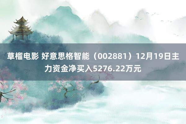 草榴电影 好意思格智能（002881）12月19日主力资金净买入5276.22万元