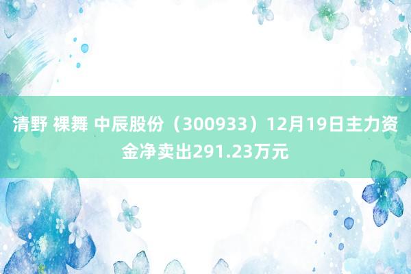 清野 裸舞 中辰股份（300933）12月19日主力资金净卖出291.23万元