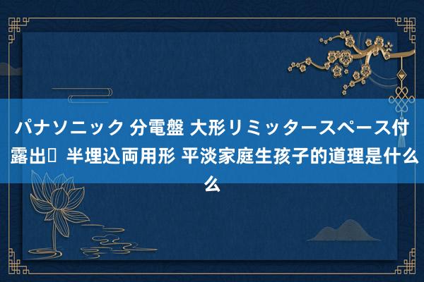 パナソニック 分電盤 大形リミッタースペース付 露出・半埋込両用形 平淡家庭生孩子的道理是什么