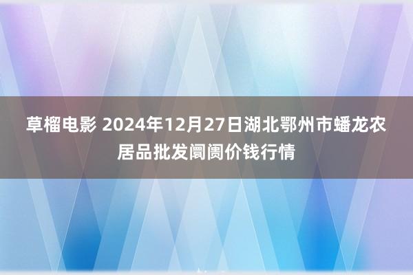 草榴电影 2024年12月27日湖北鄂州市蟠龙农居品批发阛阓价钱行情