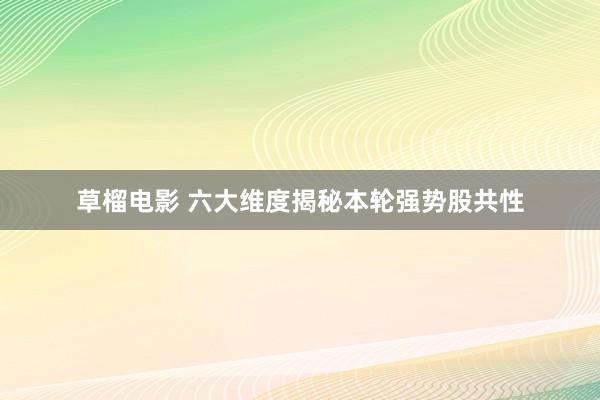 草榴电影 六大维度揭秘本轮强势股共性