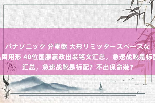 パナソニック 分電盤 大形リミッタースペースなし 露出・半埋込両用形 40位国服嬴政出装铭文汇总，急速战靴是标配？不出保命装？