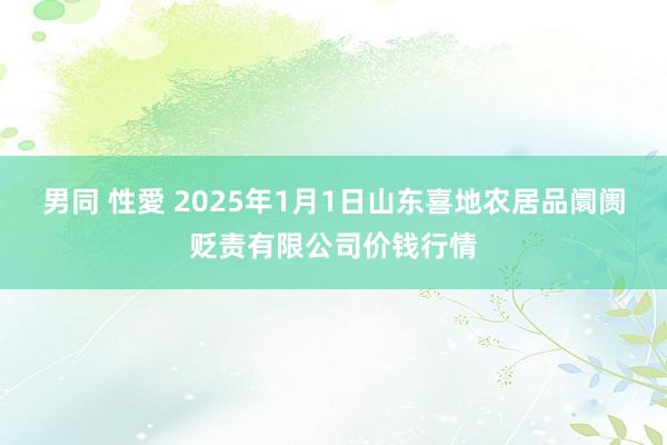 男同 性愛 2025年1月1日山东喜地农居品阛阓贬责有限公司价钱行情