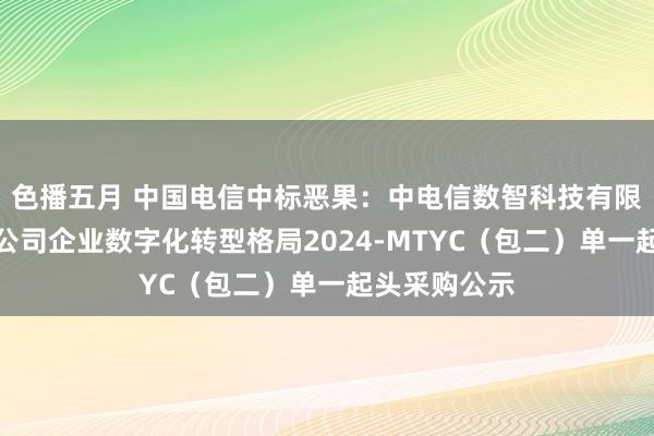 色播五月 中国电信中标恶果：中电信数智科技有限公司安徽分公司企业数字化转型格局2024-MTYC（包二）单一起头采购公示