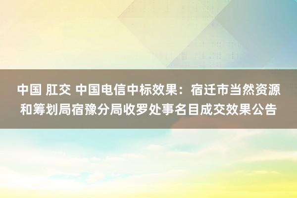 中国 肛交 中国电信中标效果：宿迁市当然资源和筹划局宿豫分局收罗处事名目成交效果公告