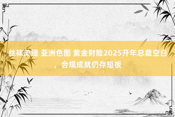 丝袜美腿 亚洲色图 紫金财险2025开年总裁空白，合规成就仍存短板