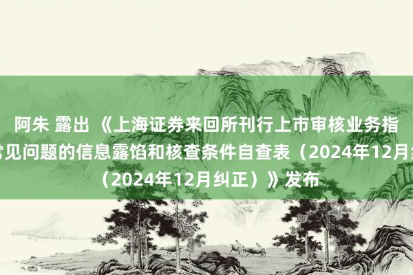 阿朱 露出 《上海证券来回所刊行上市审核业务指南第4号——常见问题的信息露馅和核查条件自查表（2024年12月纠正）》发布