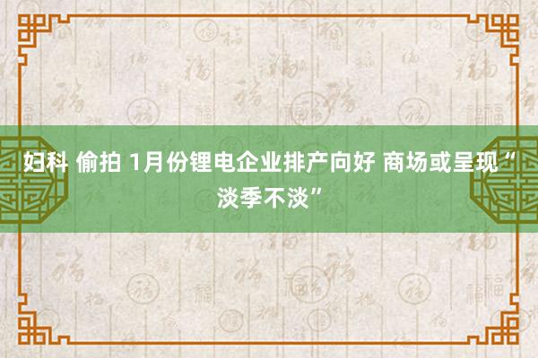 妇科 偷拍 1月份锂电企业排产向好 商场或呈现“淡季不淡”