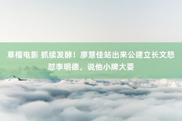 草榴电影 抓续发酵！廖慧佳站出来公建立长文怒怼李明德，说他小牌大耍