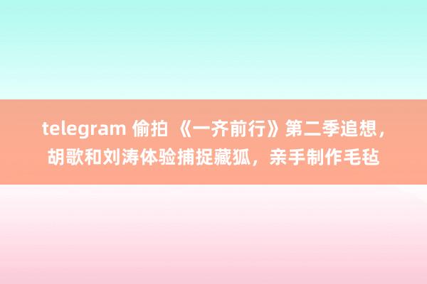 telegram 偷拍 《一齐前行》第二季追想，胡歌和刘涛体验捕捉藏狐，亲手制作毛毡