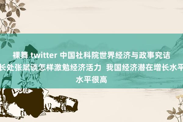 裸舞 twitter 中国社科院世界经济与政事究诘所副长处张斌谈怎样激勉经济活力  我国经济潜在增长水平很高