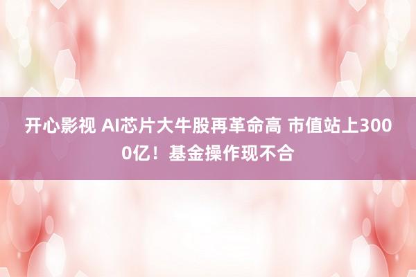 开心影视 AI芯片大牛股再革命高 市值站上3000亿！基金操作现不合