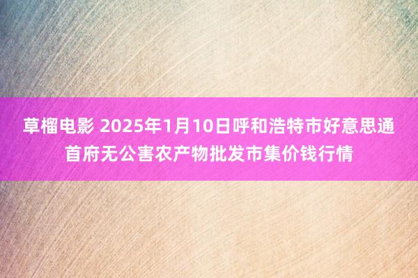 草榴电影 2025年1月10日呼和浩特市好意思通首府无公害农产物批发市集价钱行情