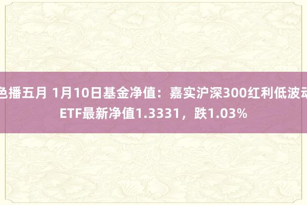 色播五月 1月10日基金净值：嘉实沪深300红利低波动ETF最新净值1.3331，跌1.03%