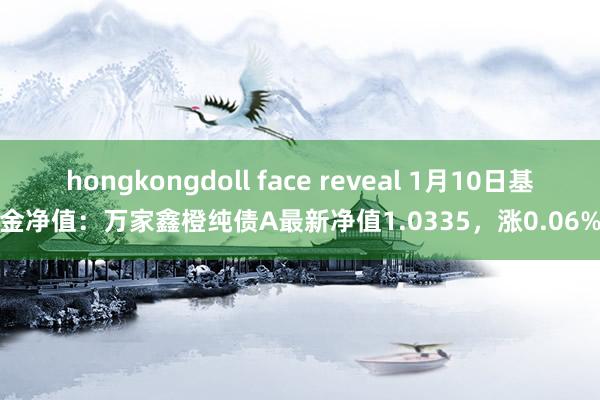 hongkongdoll face reveal 1月10日基金净值：万家鑫橙纯债A最新净值1.0335，涨0.06%