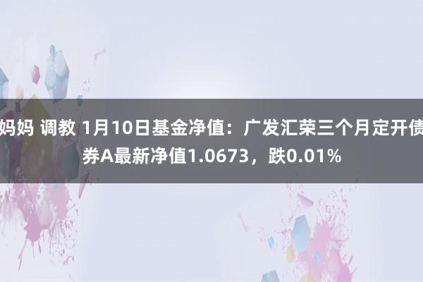 妈妈 调教 1月10日基金净值：广发汇荣三个月定开债券A最新净值1.0673，跌0.01%