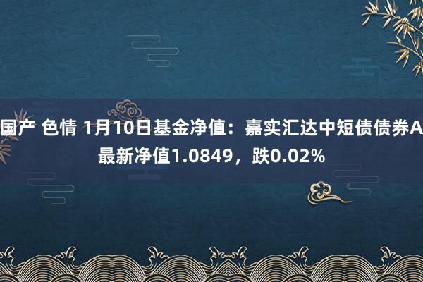 国产 色情 1月10日基金净值：嘉实汇达中短债债券A最新净值1.0849，跌0.02%