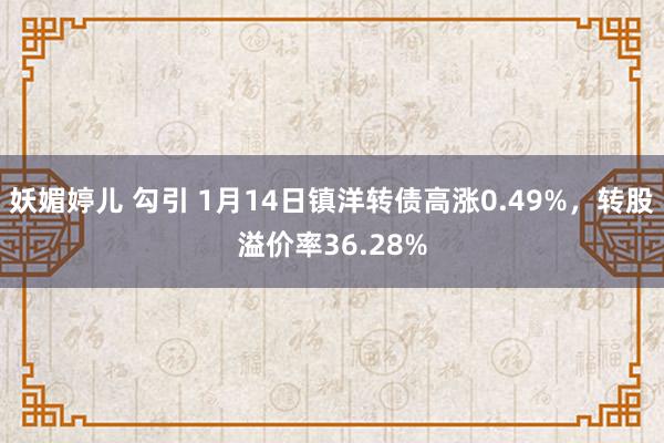 妖媚婷儿 勾引 1月14日镇洋转债高涨0.49%，转股溢价率36.28%