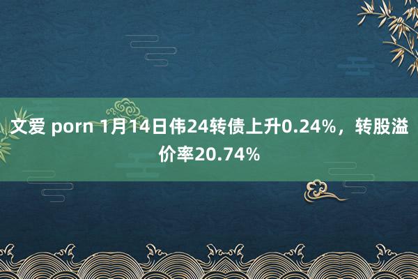 文爱 porn 1月14日伟24转债上升0.24%，转股溢价率20.74%