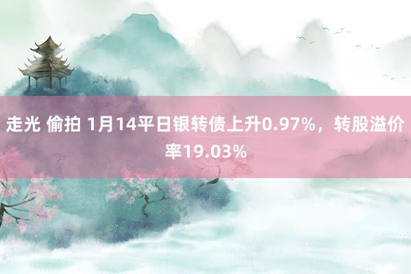 走光 偷拍 1月14平日银转债上升0.97%，转股溢价率19.03%