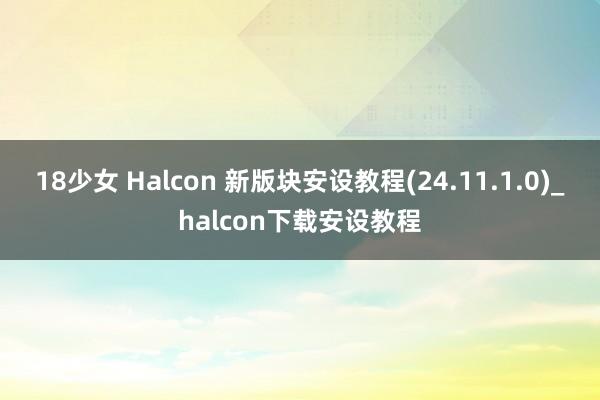 18少女 Halcon 新版块安设教程(24.11.1.0)_halcon下载安设教程