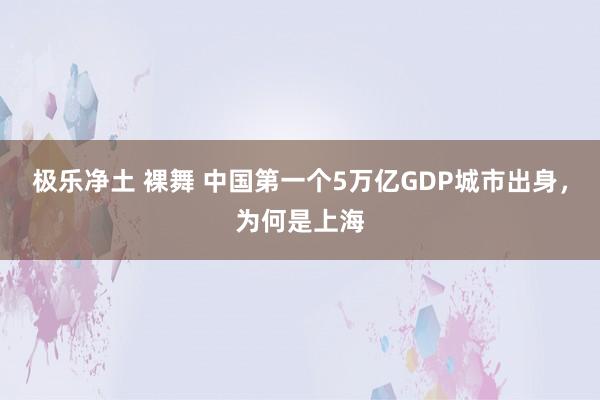 极乐净土 裸舞 中国第一个5万亿GDP城市出身，为何是上海