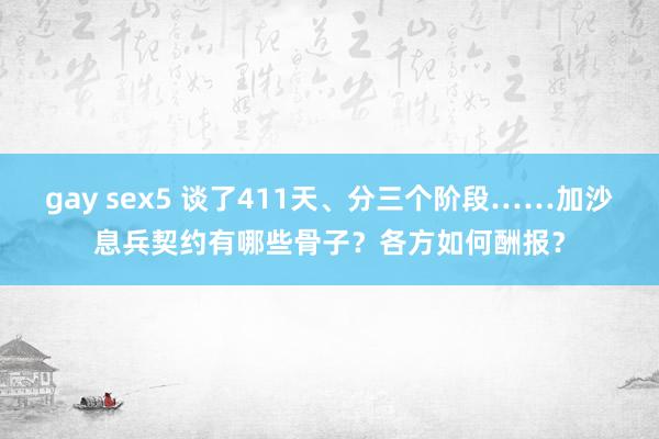 gay sex5 谈了411天、分三个阶段……加沙息兵契约有哪些骨子？各方如何酬报？