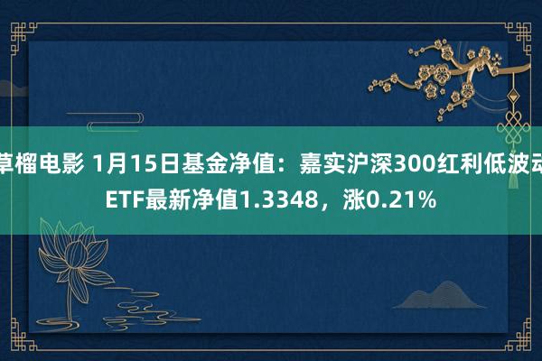 草榴电影 1月15日基金净值：嘉实沪深300红利低波动ETF最新净值1.3348，涨0.21%